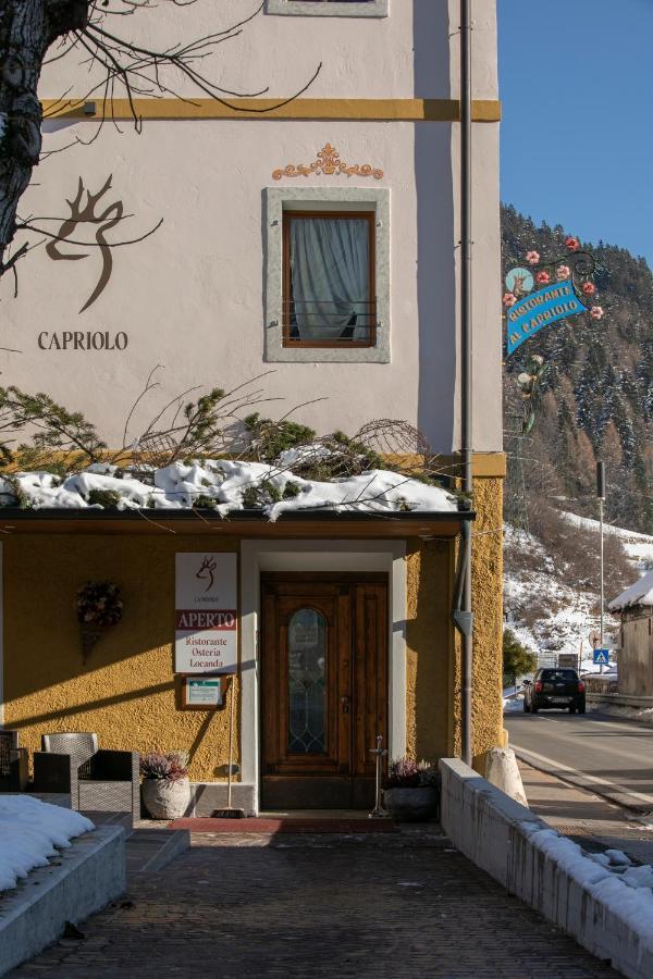 Hotel Al Capriolo Vodo Cadore Exterior foto